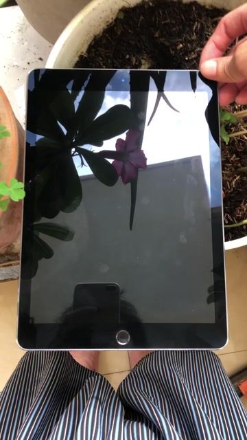 Apple iPad Pro 9.7 PIN ZIN 97% 128GB 4G. Mua bán Máy tính bảng tại Quận 8 Tp Hồ Chí Minh được đăng bởi Thanh Thanh hình 1