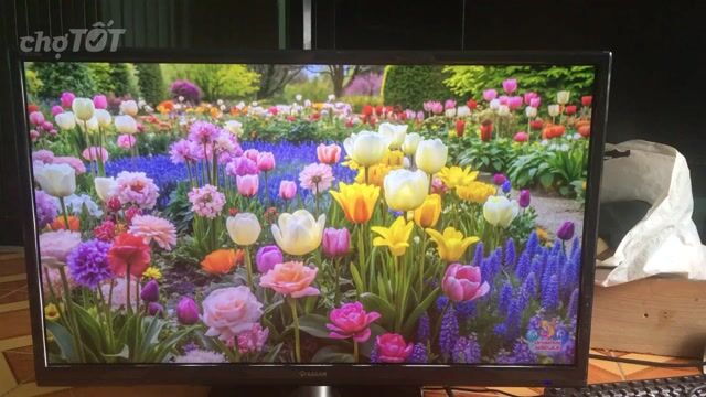 Màn TRAEAN Hàn Quốc 32 inch full HD cực đẹp.. Mua bán Phụ kiện (Màn hình, Chuột...) tại Quận Bình Thạnh Tp Hồ Chí Minh được đăng bởi Võ Quốc Phòng hình 1