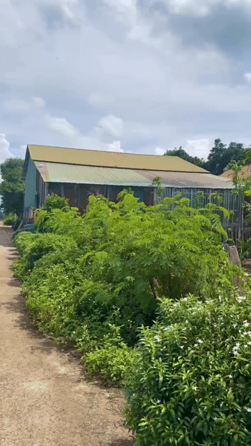 Mua bán Đất Huyện Cẩm Mỹ Đồng Nai diện tích 1575 m² giá 2,5 tỷ