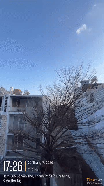 Cho thuê Phòng trọ Quận Gò Vấp Tp Hồ Chí Minh diện tích 25 m² giá 4,3 triệu/tháng