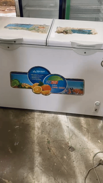 Tủ đông Hòa Phát 550L Ống đồng Trắng. Mua bán Tủ lạnh tại Quận Thanh Xuân Hà Nội được đăng bởi Gia bảo hình 1