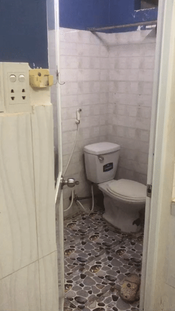 Cho thuê Phòng trọ Quận Gò Vấp Tp Hồ Chí Minh diện tích 20 m² giá 3,5 triệu/tháng