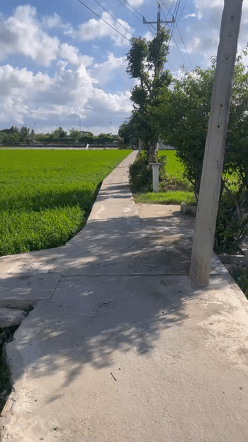 Mua bán Đất Huyện Hòa Bình Bạc Liêu diện tích 3500 m² giá 5,9 tỷ