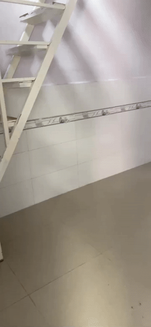 Cho thuê Phòng trọ Quận Bình Tân Tp Hồ Chí Minh diện tích 15 m² giá 2,3 triệu/tháng