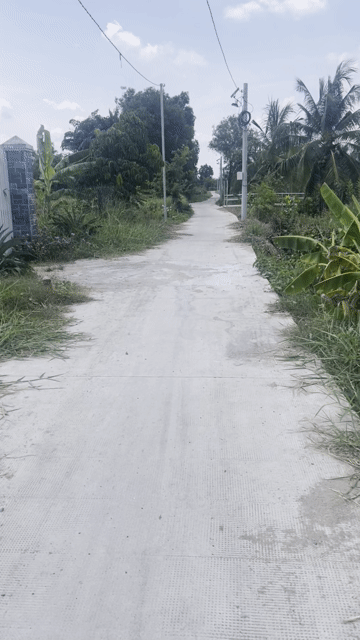 Mua bán Đất Huyện Tân Trụ Long An diện tích 150 m² giá 680 triệu