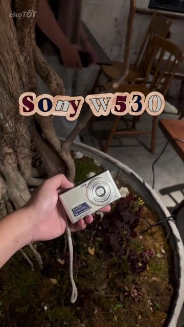 Máy ảnh Sony W530 Bạc MỚI 95%. Mua bán Máy ảnh, Máy quay tại Quận Bình Tân Tp Hồ Chí Minh được đăng bởi Đặng Như hình 1