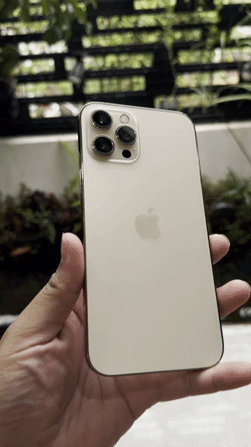 Apple iPhone 12 Pro Max 128GB Vàng Mất Face ID 98%. Mua bán Điện thoại tại Thành phố Biên Hòa Đồng Nai được đăng bởi TRƯƠNG HUY HOÀNG hình 1
