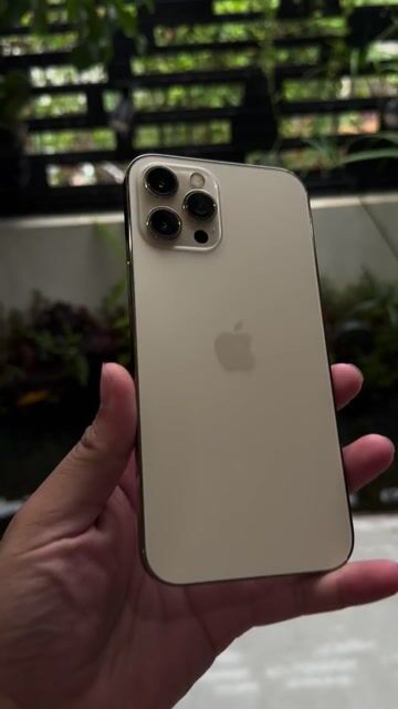 Apple iPhone 12 Pro Max 128GB Vàng Mất Face ID 98%. Mua bán Điện thoại tại Thành phố Biên Hòa Đồng Nai được đăng bởi TRƯƠNG HUY HOÀNG hình 1