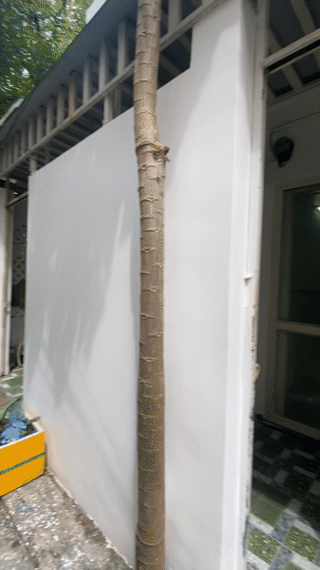 Cho thuê Nhà ở Quận Gò Vấp Tp Hồ Chí Minh diện tích 28 m² giá 6,5 triệu/tháng