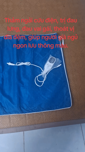Đệm Ngải cứu điện giúp điều tri đau lưng vai gáy. Mua bán Nội thất, đồ gia dụng khác tại Huyện Hóc Môn Tp Hồ Chí Minh được đăng bởi Hồ Đăng  hình 1