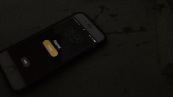 Une journée avec les élèves de BAC PRO ARED