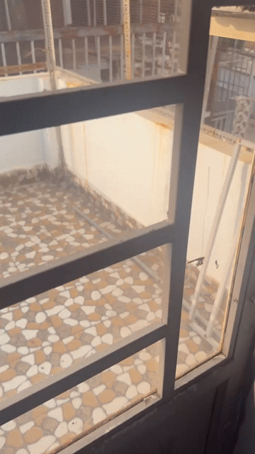 Cho thuê Nhà ở Công Viên Văn Hóa Gò Vấp Quận Gò Vấp Tp Hồ Chí Minh diện tích 10 m² giá 4,5 triệu/tháng