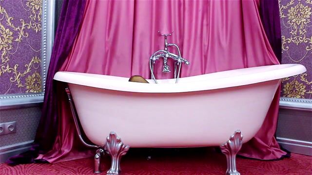 Model - Merelin anal