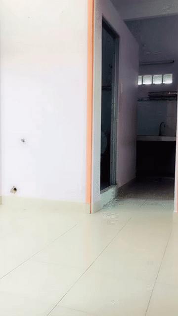 Cho thuê Nhà ở Quận 8 Tp Hồ Chí Minh diện tích 28 m² giá 2,8 triệu/tháng