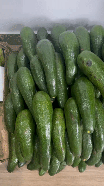 Bơ 034 Ngoại trồng 1 kg. Mua bán Đồ ăn, thực phẩm và các loại khác tại Quận Bình Thạnh Tp Hồ Chí Minh được đăng bởi Hong Nguyen hình 1