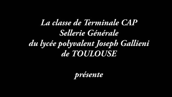 La sellerie, c'est varié !