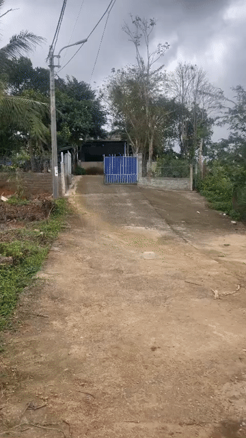 Mua bán Đất Huyện Hòa Vang Đà Nẵng diện tích 230 m² giá 1,39 tỷ