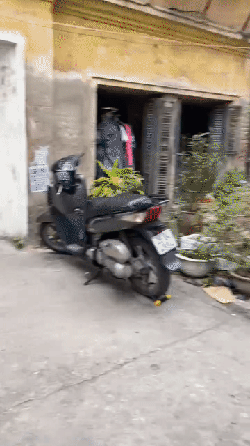 Cho thuê Căn hộ Chung cư Quận Đống Đa Hà Nội diện tích 25 m² giá 4,5 triệu/tháng