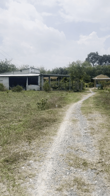 Mua bán Đất Huyện Châu Thành Tây Ninh diện tích 165.1999 m² giá 390 triệu