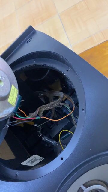 bose mỹ sx mexico loa còn rất đẹp. Mua bán Tivi, Âm thanh tại Thành phố Bà Rịa Bà Rịa - Vũng Tàu được đăng bởi phát tài hình 1