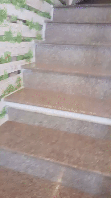 Cho thuê Văn phòng, Mặt bằng kinh doanh Thành phố Nha Trang Khánh Hòa diện tích 28 m² giá 13 triệu/tháng
