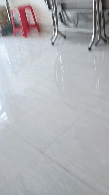 Chim chào mào nâu trắng. Mua bán Chim tại Quận Tân Bình Tp Hồ Chí Minh được đăng bởi Nguyễn Trọng Việt hình 1