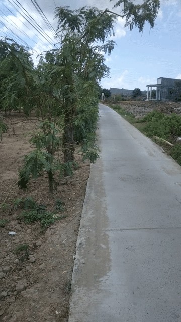 Mua bán Đất Huyện Cầu Ngang Trà Vinh diện tích 300 m² giá 900 triệu