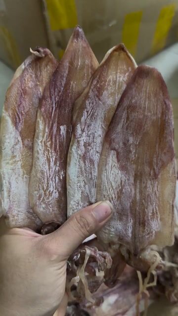 Khô mực câu 30/32con/kg. Mua bán Đồ ăn, thực phẩm và các loại khác tại Thành phố Thủ Đức Tp Hồ Chí Minh được đăng bởi NGỌC TUYỀN hình 1