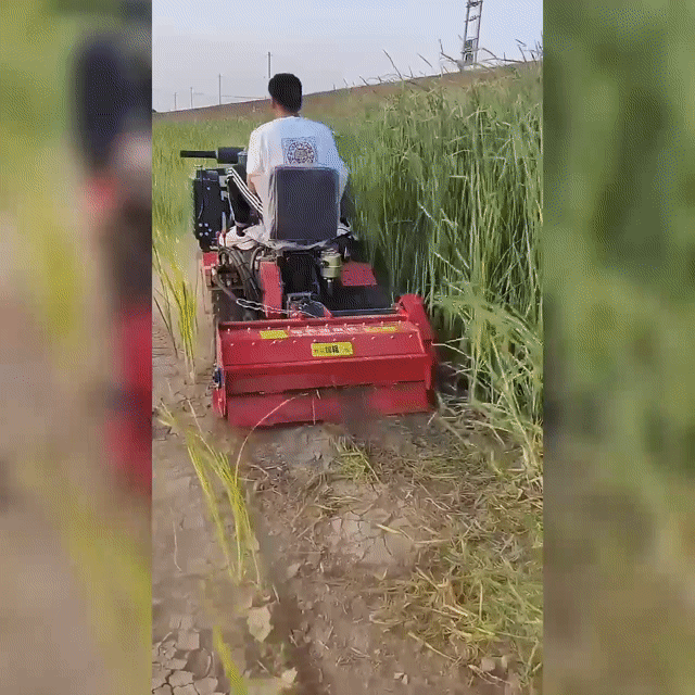 Máy kéo nông nghiệp Sitense Đỏ. Mua bán Phương tiện khác tại Thành phố Buôn Ma Thuột Đắk Lắk được đăng bởi Quy Tran hình 1