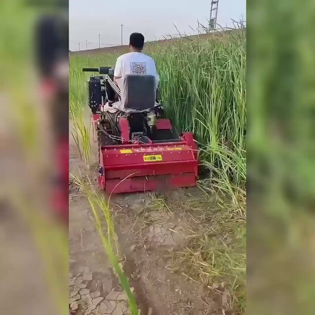 Máy kéo nông nghiệp Sitense Đỏ. Mua bán Phương tiện khác tại Thành phố Buôn Ma Thuột Đắk Lắk được đăng bởi Quy Tran hình 1