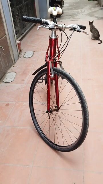 Xe đạp touring Centurion Đức. Mua bán Xe đạp tại Quận Long Biên Hà Nội được đăng bởi Trần Nghi hình 1