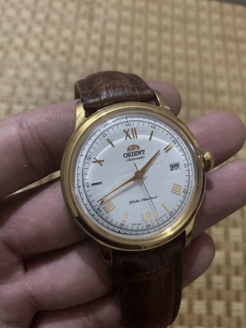 Đồng hồ Orient Bambino Gen 2 Version 2 Nam Vàng. Mua bán Đồng hồ tại Huyện Đô Lương Nghệ An được đăng bởi Khang Nguyen hình 1