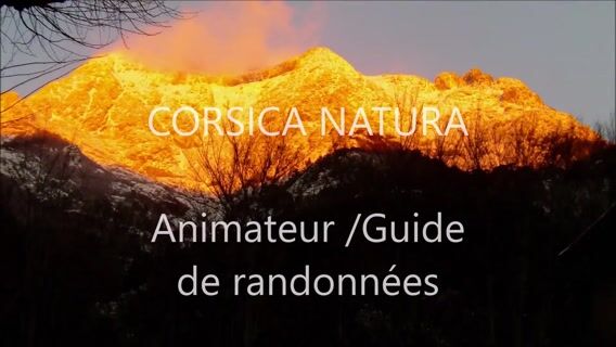 CORSICA NATURA
