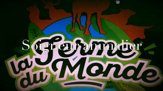 Soigneur animalier : un métier très prisé!