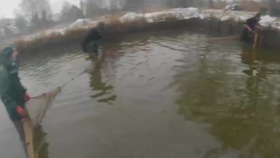 Pisciculteur d'étang un métier prometteur