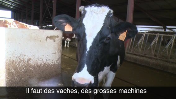 c'est vachement .... féminin