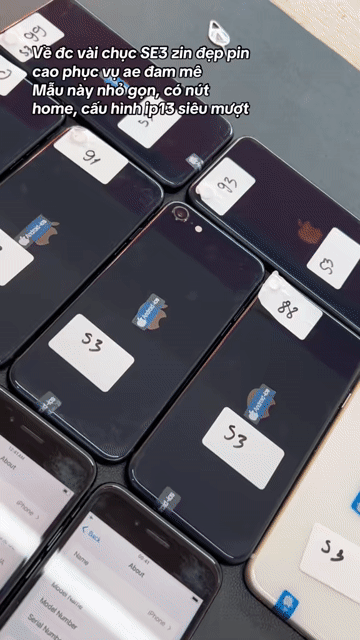 iPhone SE3 |iPhone SE 2022 qte zin full pin cao. Mua bán Điện thoại tại Quận Gò Vấp Tp Hồ Chí Minh được đăng bởi Duy Anh hình 1