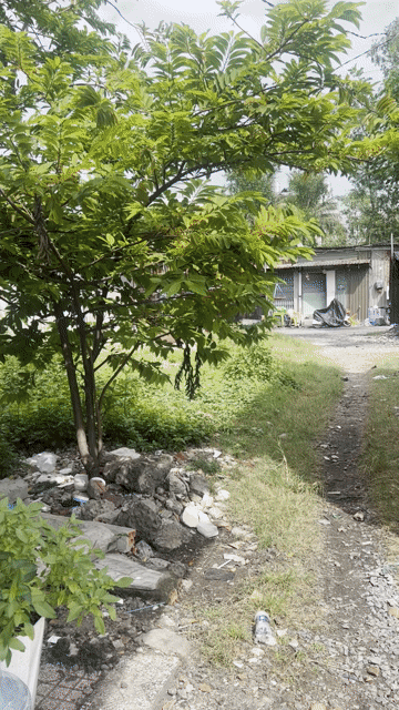 Cho thuê Nhà ở Huyện Bình Chánh Tp Hồ Chí Minh diện tích 40 m² giá 4 triệu/tháng