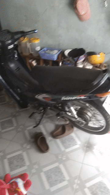 Honda Wave màu Xanh. Mua bán Xe máy tại Thành phố Biên Hòa Đồng Nai được đăng bởi Nguyễn phạm nhật trường hình 1