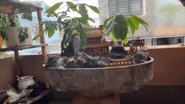 Cây cảnh Đá Gốm Nhiều màu. Mua bán Cây cảnh, đồ trang trí tại Thành phố Huế Thừa Thiên Huế được đăng bởi Hoàng Lễ hình 1