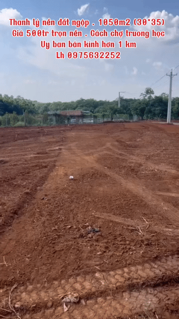 Mua bán Đất Huyện Đồng Phú Bình Phước diện tích 1050 m² giá 500 triệu