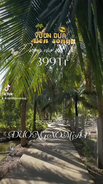 Mua bán Đất Huyện Tân Phú Đông Tiền Giang diện tích 400 m² giá 399 triệu