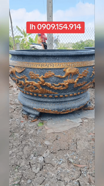 tròn 1.2m. Mua bán Cây cảnh, đồ trang trí tại Huyện Cần Giuộc Long An được đăng bởi TUAN NGUYÊN  hình 1