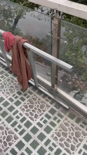 Cho thuê Phòng trọ Quận Bình Thạnh Tp Hồ Chí Minh diện tích 15 m² giá 3,9 triệu/tháng