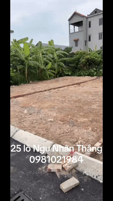Mua bán Đất Huyện Gia Bình Bắc Ninh diện tích 90 m² giá 1,789 tỷ