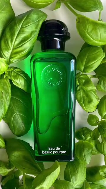 Eau de Basilic Pourpre Hermès perfume - a new fragrance for