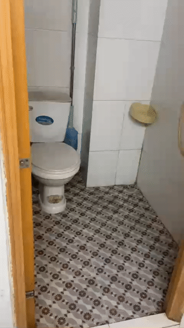 Cho thuê Phòng trọ Quận Bình Tân Tp Hồ Chí Minh diện tích 20 m² giá 2 triệu/tháng