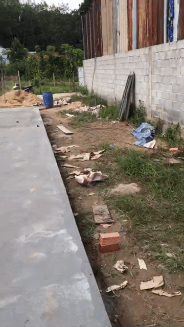 Mua bán Đất Huyện Củ Chi Tp Hồ Chí Minh diện tích 1971.8 m² giá 8,3 tỷ