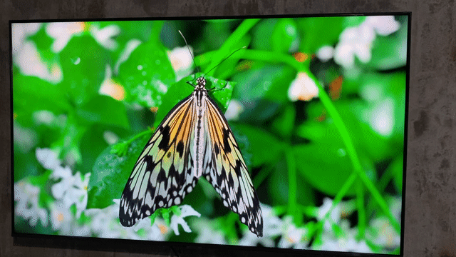 Tivi SAMSUNG 50 inch 4K tràn viền,màn đẹp. Mua bán Tivi, Âm thanh tại Quận Ngũ Hành Sơn Đà Nẵng được đăng bởi Toàn hình 1