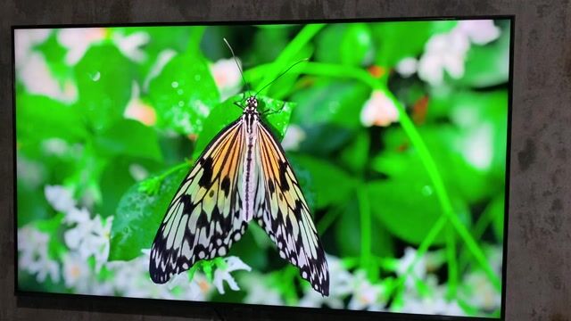 Tivi SAMSUNG 50 inch 4K tràn viền,màn đẹp. Mua bán Tivi, Âm thanh tại Quận Ngũ Hành Sơn Đà Nẵng được đăng bởi Toàn hình 1